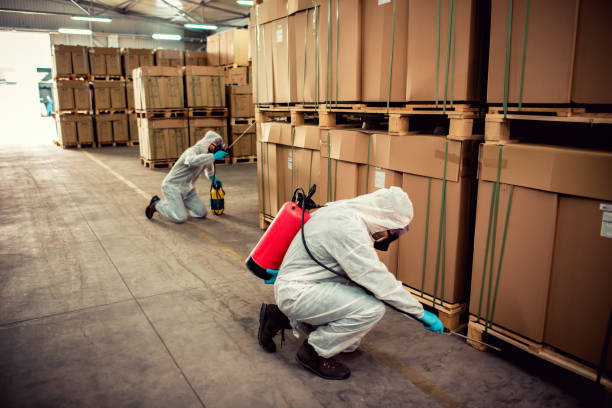 Professional Pest Control in Penngrove, CA