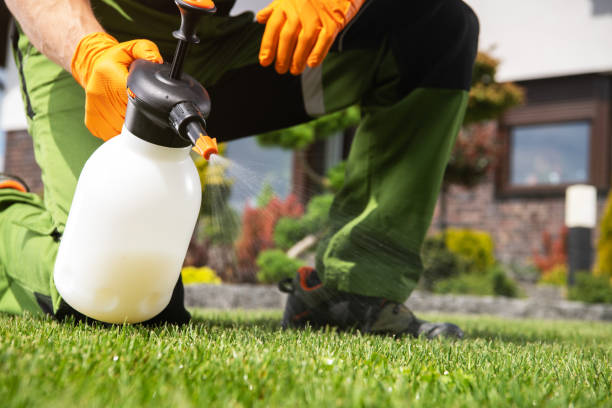 Best Flea Control Services  in Penngrove, CA