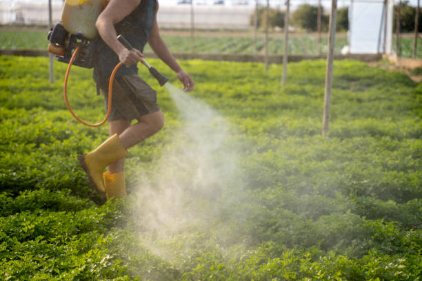 Best Exterminator Services  in Penngrove, CA