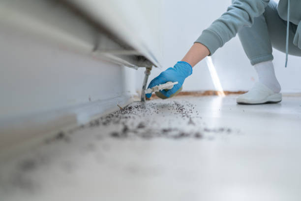 Best Pest Control for Businesses  in Penngrove, CA